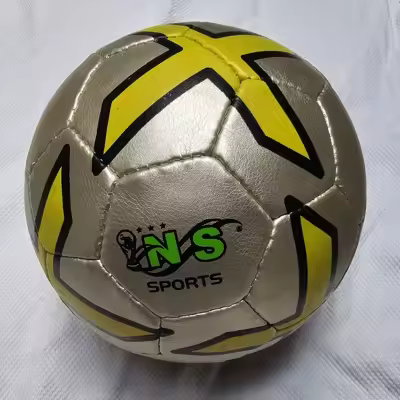 Official Size Training Football